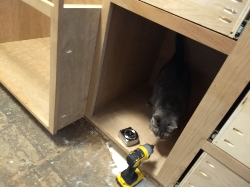 Illustration for article titled I got a visit from the building ... errr ... Cat inspector today